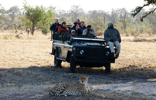 South Africa Luxury Safari, Cape Town and Victoria Falls 11 Days