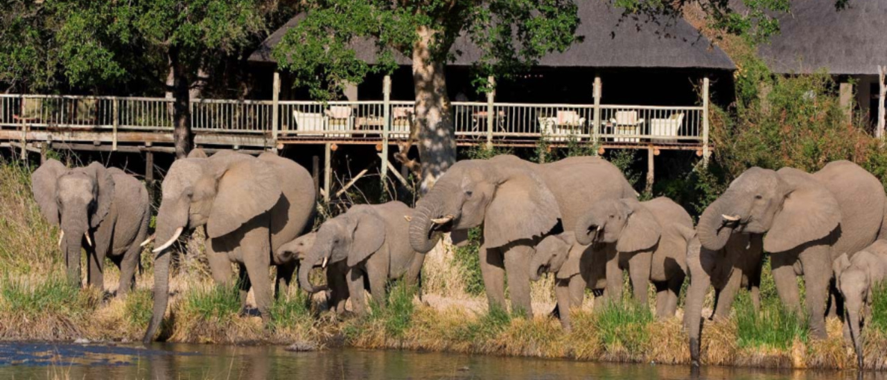 South Africa Exclusive Safari, South Africa Luxury Tours, South Africa Luxury Safari, South Africa Luxury Safaris,  Exclusive Safari South Africa, Executive Safari South Africa, Private  Safari South Africa, Sabi Sabi Safari, Kruger National Park Private 